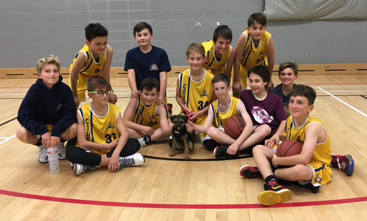 U12 Gold