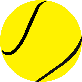 Yellow/Black Ball