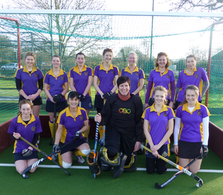 SWHC Ladies 3's 2012-13 